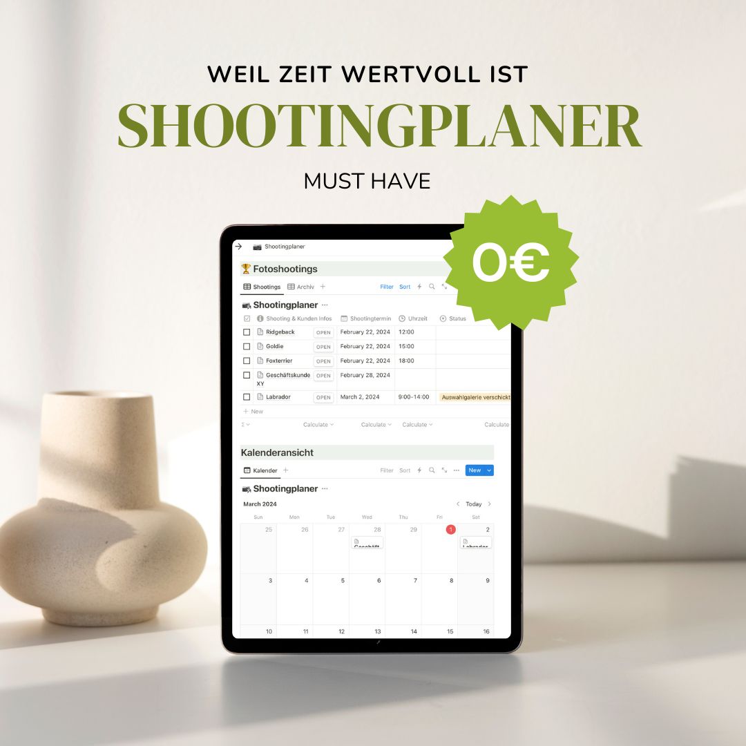 Minimalist Neutral Free Guide Lead Magnet Tablet Mockup Instagram Post
